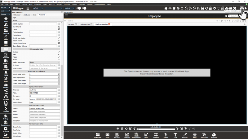 example_signatureview